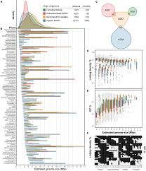 Image result for genome sizes