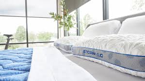 Image result for Sleeping Storm, Epsom