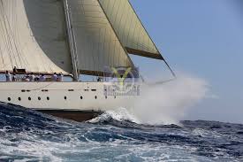 Image result for Xarifa