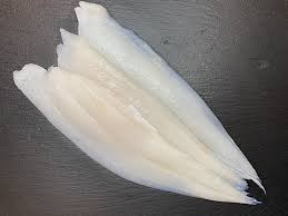 Image result for Glyptocephalus cynoglossus