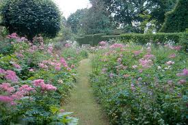 Image result for Priona Tuinen