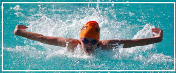 Image result for Selby Tiger Sharks Swimming Club