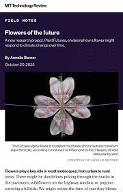 Attēlu rezultāti vaicājumam “Circaea alpina flower”