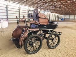 Attēlu rezultāti vaicājumam “Sauria”