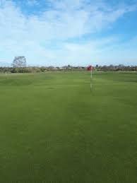 Image result for Rushmere Golf Club