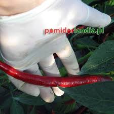 Afbeeldingsresultaat voor joe long cayenne hot pepper