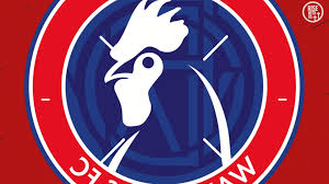 Image result for Dorking Football Club Limited