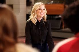 Image result for Bugaboo Cameleon Amy Poehler