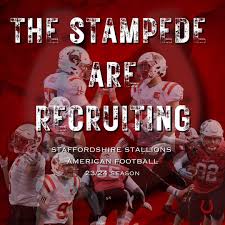 Image result for Staffordshire Stallions