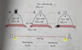 Image result for  v    q