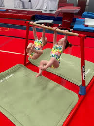 Image result for Redcar School Of Gymnastics