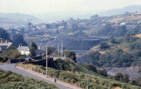 Image result for Trelewis Welfare Bowls Club