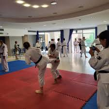 Image result for Holboln Shorinji Kempo Club