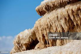 Attēlu rezultāti vaicājumam “Antrodia sinuosa”