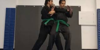 Image result for United Dojos Kickboxing