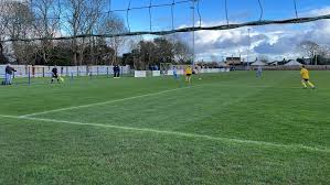 Image result for Cowes Sports Football Club