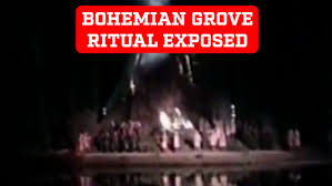 Image result for bohemian club