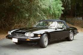 Image result for Sable Black 1982 Jaguar