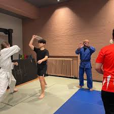 Image result for Kingston University Jiu Jitsu Club, Surrey