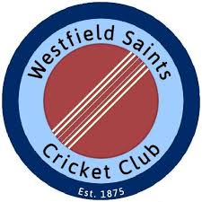 Image result for Wokingx1 Cricket Club