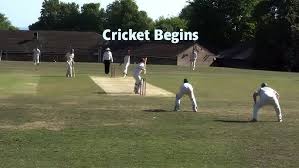 Image result for Henfield Cricket Club