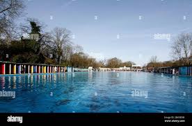 Image result for South London Swimming Club