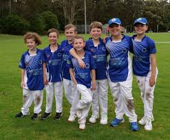 Image result for Bures and District Cricket Club