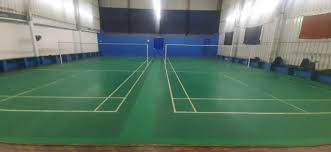 Image result for Dolphin Badminton Club