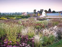 Image result for Piet Oudolf