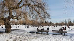 Image result for Leek Park B C