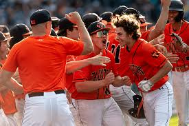 Image result for Taunton Muskets Baseball Club
