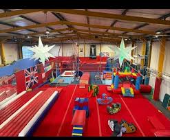 Image result for Weybridge Gymnastics