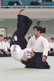 Image result for Kakumei Kan Aikikai (Middlesbrough)