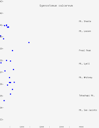 Attēlu rezultāti vaicājumam “Gymnostomum calcareum”