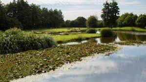 Image result for Hurtmore Golf Club