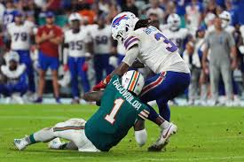 Attēlu rezultāti vaicājumam “Jalla dumosa imago”