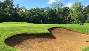 Image result for Chelmsford Gc