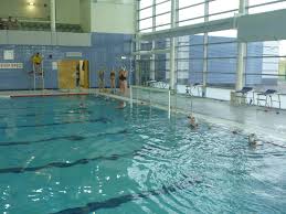 Image result for York University Pool Club