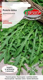 Attēlu rezultāti vaicājumam “Diplotaxis tenuifolia fruit”