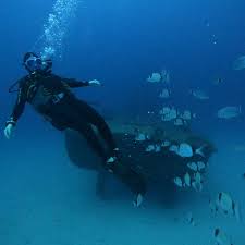 Image result for Abyss Dive Club