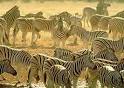 Sabbatical Allies and the Herd Mentality » Escape 101: Sabbaticals ...
