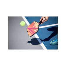 Image result for Dorset Pickleball Club