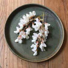 Attēlu rezultāti vaicājumam “Robinia”