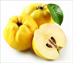 Attēlu rezultāti vaicājumam “Cydonia oblonga”