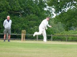 Image result for Lynchmere Cricket Club