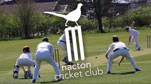 Image result for Ipswich Cricket Club