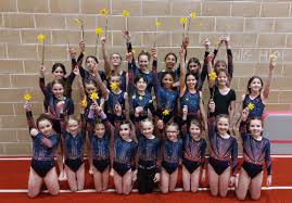 Image result for Haverfordwest Gymnastics Club