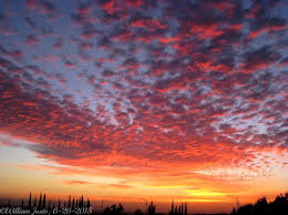 Attēlu rezultāti vaicājumam “altocumulus”