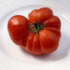 Afbeeldingsresultaat voor mortgage lifter bicolor strain tomato