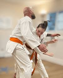 Image result for Kenpo Karate Club